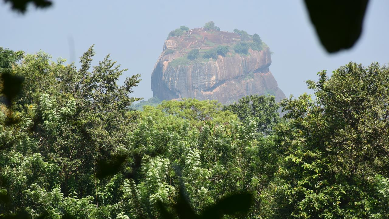 فيلا سيغيرِيافي Sigiri Sarilco Rock View Treehouse المظهر الخارجي الصورة